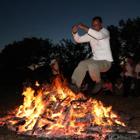 Çiftlik konaklama Villafe