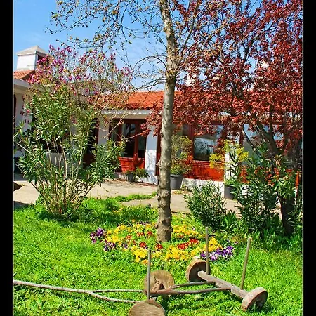 Farm stay Villafe *
