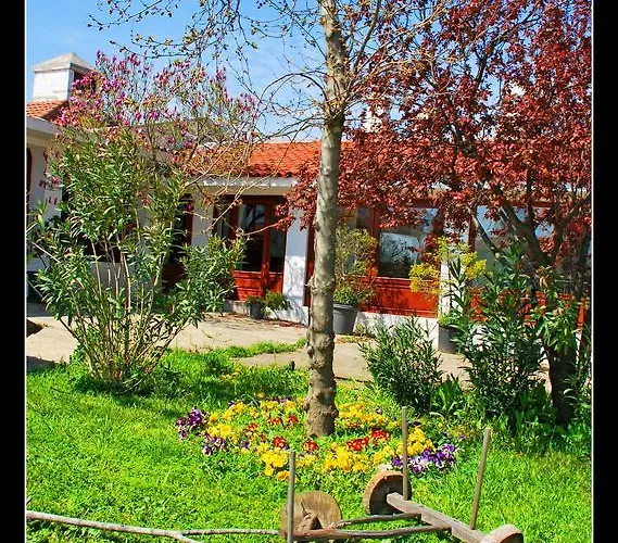 Feriegård Villafe *